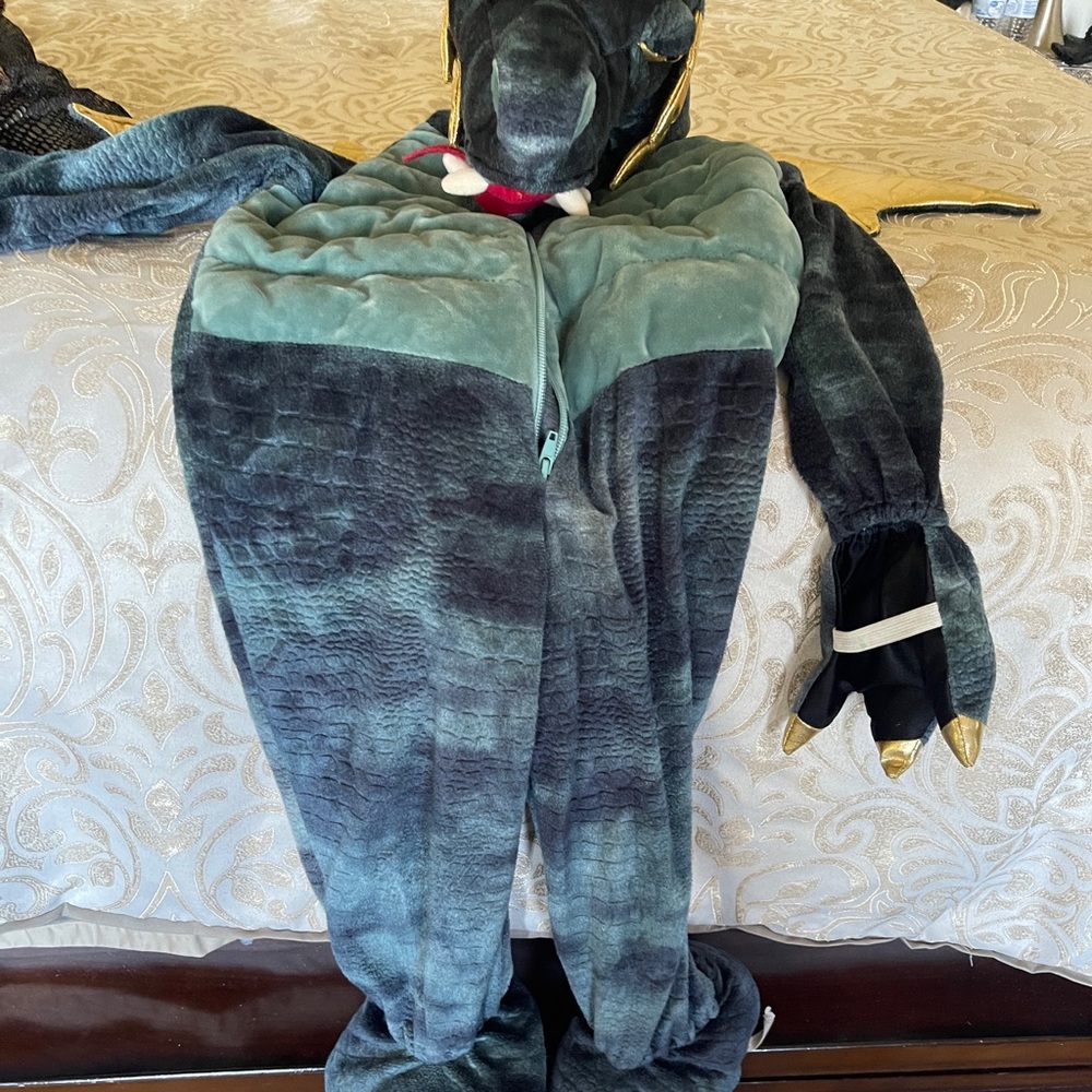 Dragon Costume